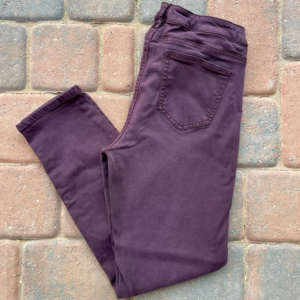 Buffalo Plum Denim Skinny Jeans